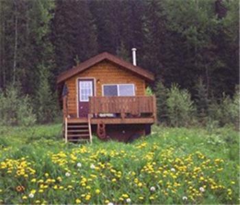 Bear Corner Adventures Bed & Bale Hotel Golden Exterior foto