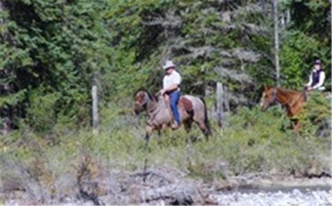 Bear Corner Adventures Bed & Bale Hotel Golden Exterior foto